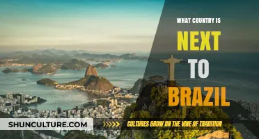 Exploring Brazil's Borders: Which Countries Share Its Boundaries?