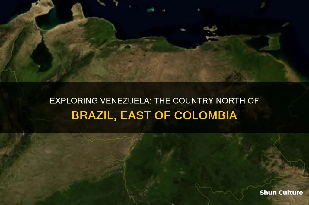 what country is north of brazil and east of colombia