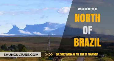 Exploring Brazil's Northern Neighbor: Which Country Borders It?