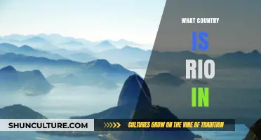 Discovering Rio's Location: Which Country Calls This Iconic City Home?