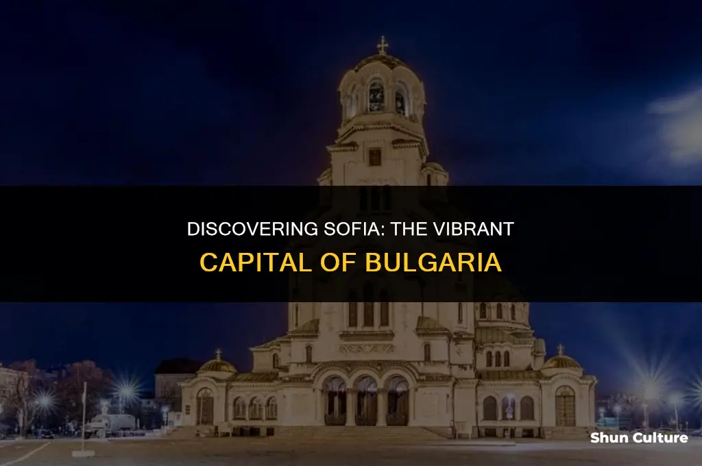 what country is sofia the capital of