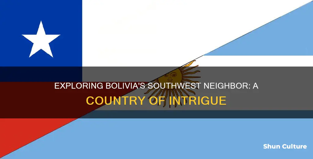 what country is southwest of bolivia