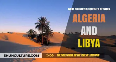 Tunisia: The Vibrant Nation Bordering Algeria and Libya Explored