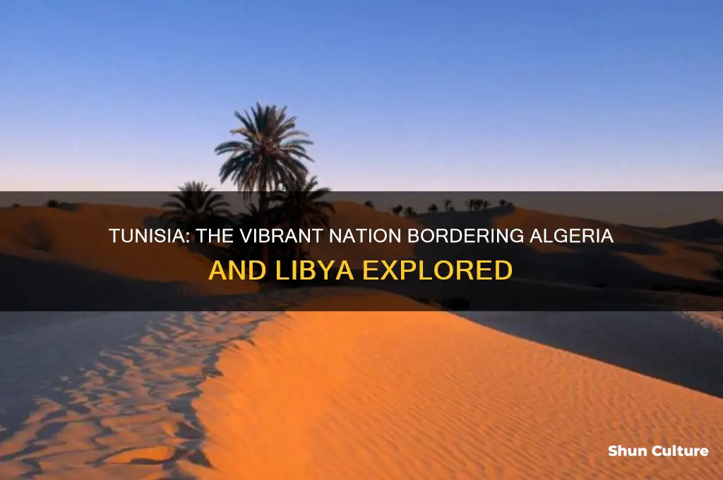 what country is squeezed between algeria and libya