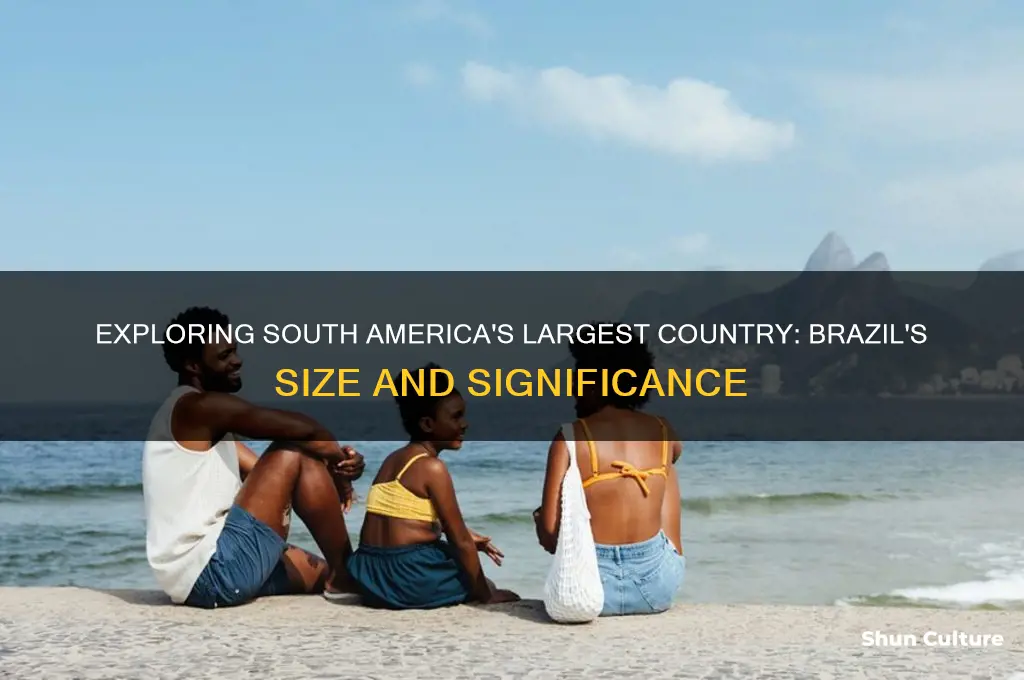 what country is the largest in south america