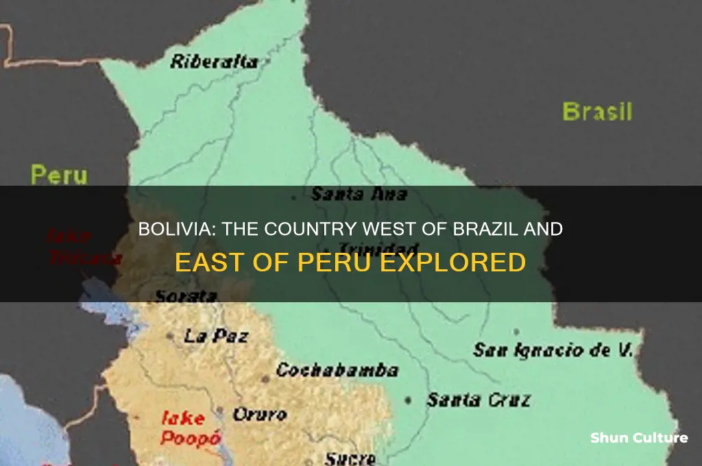 what country is west of brazil and east of peru