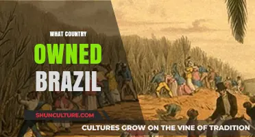 Brazil's Colonial Past: Which European Power Once Ruled the Nation?