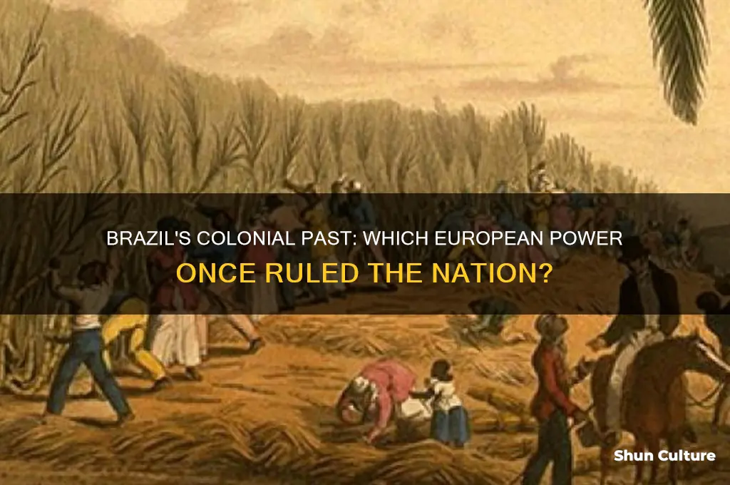 what country owned brazil
