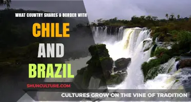 Exploring South America: Chile and Brazil's Unique Bordering Neighbor