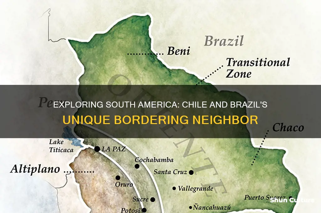 what country shares a border with chile and brazil