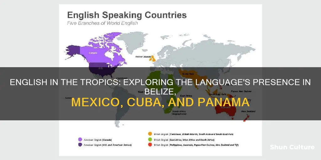 what country speaks english belize mexico cuba or panama