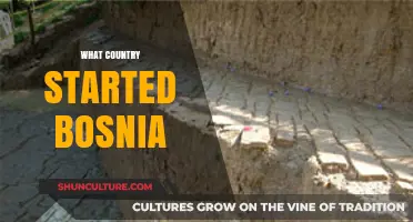 Unraveling Bosnia's Origins: Which Country Sparked Its Formation?