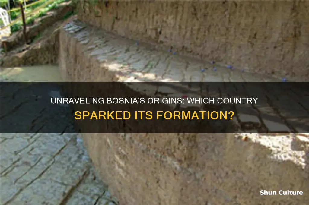 what country started bosnia