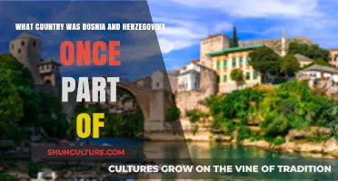 Bosnia and Herzegovina's Historical Ties: Which Country Claimed It Before?
