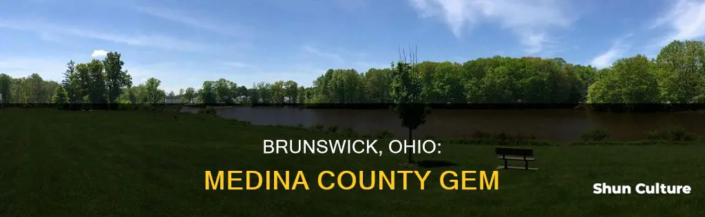 what county brunswick ohio in