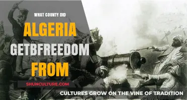 Algeria's Independence: Which Country Granted Its Freedom and Why?
