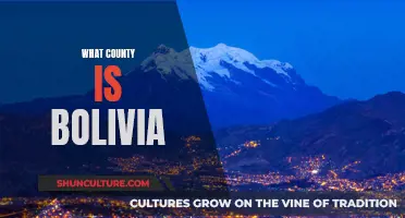 Bolivia's Geographical Location: A Country in the Heart of South America