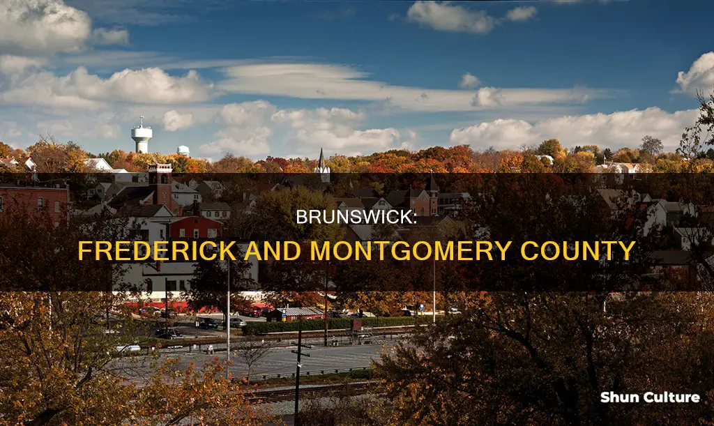 what county is brunswick in md