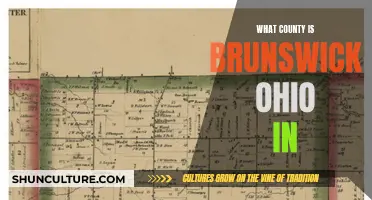 The County Conundrum: Unraveling the Location of Brunswick, Ohio