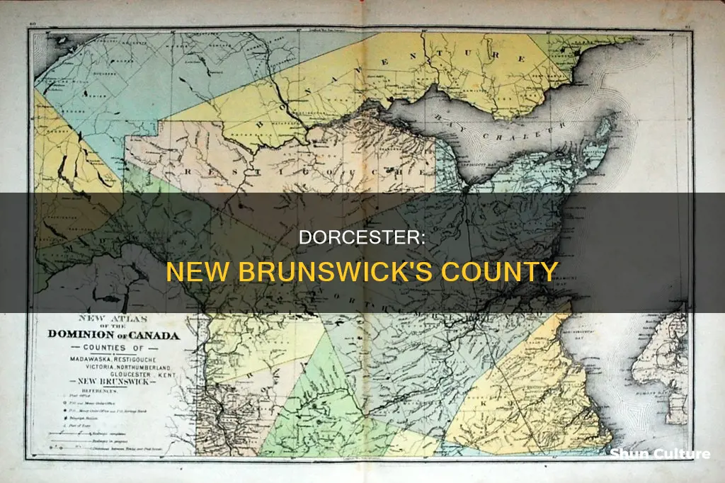 what county is dorcester new brunswick in