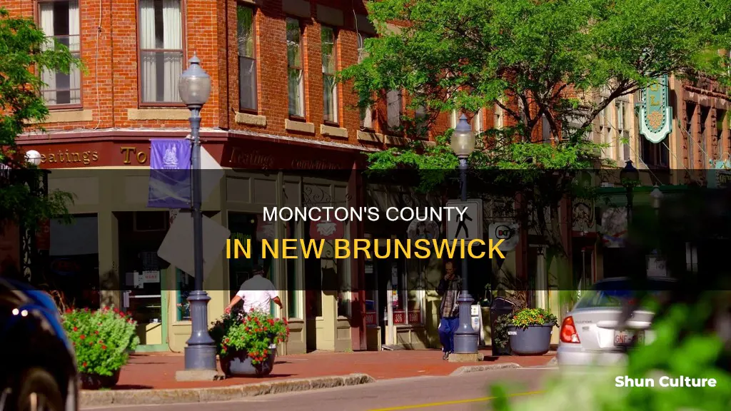 what county is moncton new brunswick in