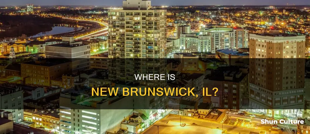 what county is new brunswick il