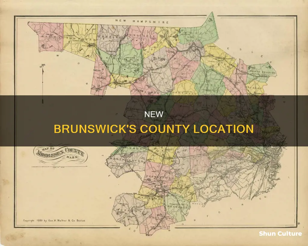 what county is new brunswick nj 08901