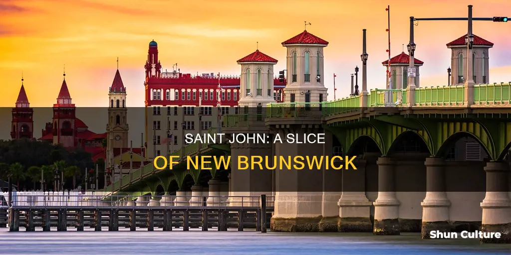 what county is saint john new brunswick