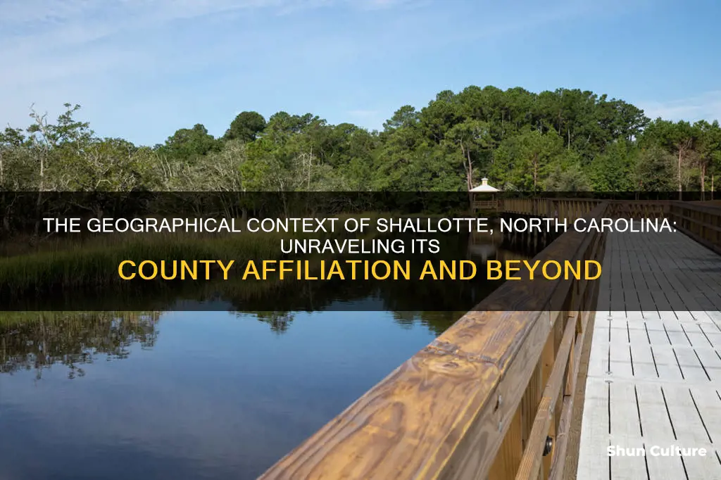 what county is shallotte nc in