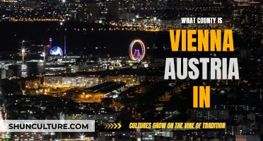 Exploring Vienna's County: Austria's Cultural Hub