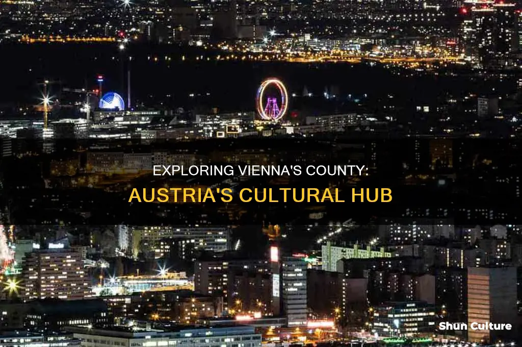 what county is vienna austria in