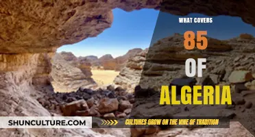 Algeria's Vast Sahara Desert: Covering 85% of the Country