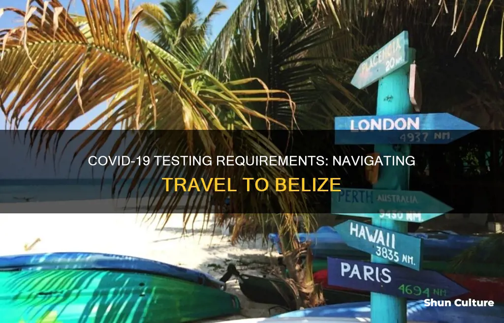 what covid test do I need to travel to belize