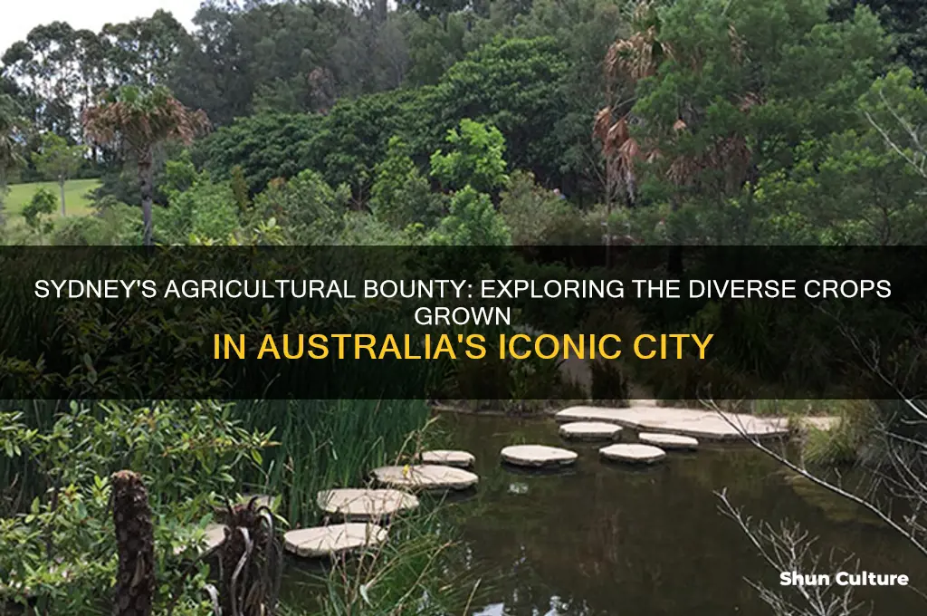 what crops are grown in sydney australia