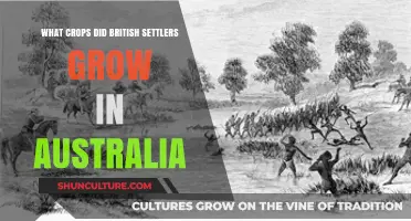 British Settlers' Agricultural Endeavors in Australia
