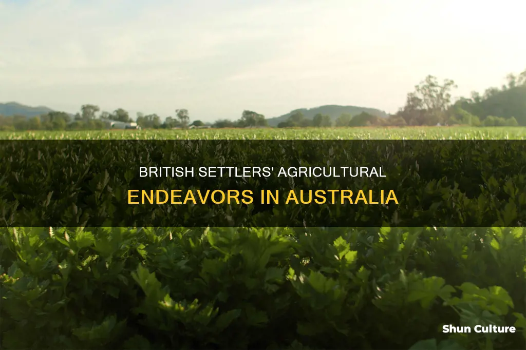 what crops did british settlers grow in australia