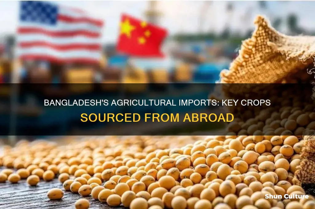 what crops does bangladesh import