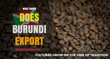 Burundi's Agricultural Exports: A Comprehensive Guide to the Country's Top Crops