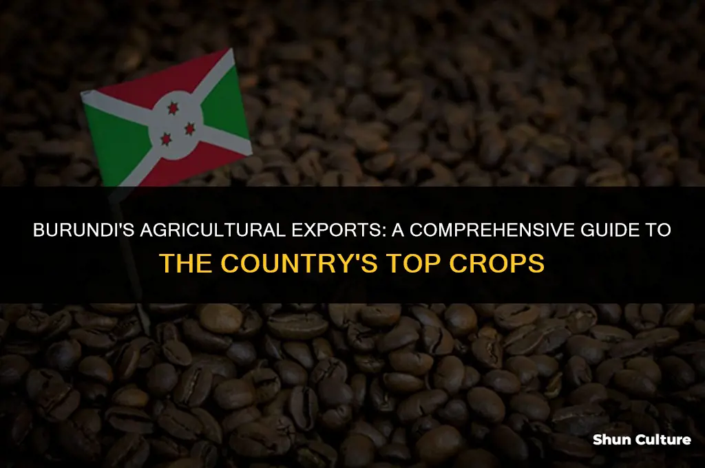 what crops does burundi export