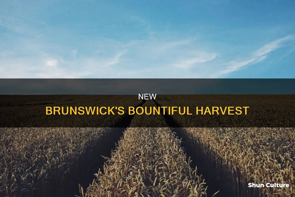 what crops grow in new brunswick canada