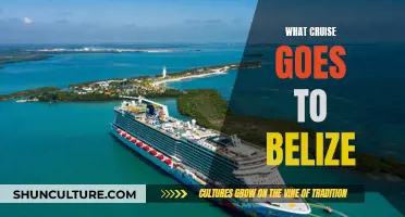 The Caribbean's Best-Kept Secret: Unveiling Belize's Cruise Options