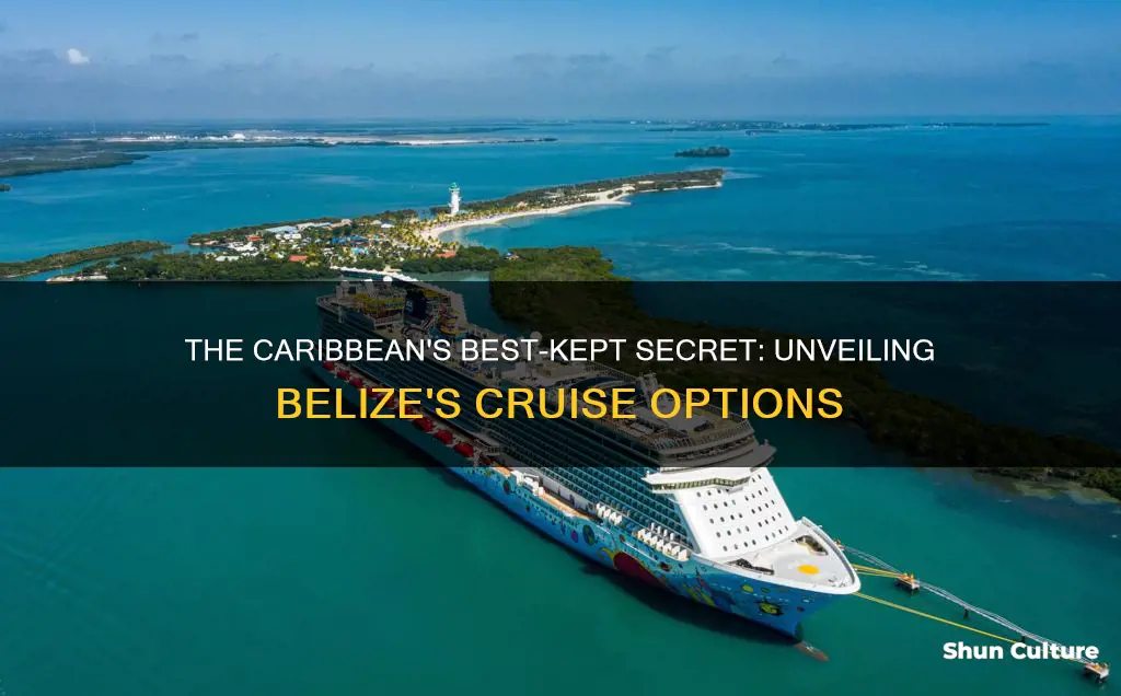 what cruise goes to belize