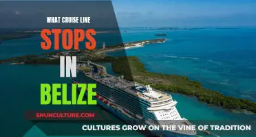 The Caribbean's Best-Kept Secret: Cruise Lines Unveiling Belize's Beauty