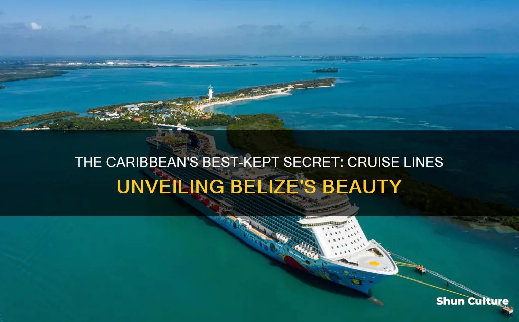 what cruise line stops in belize