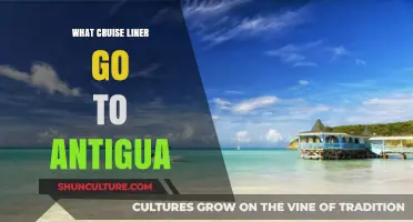 Discover Antigua: Top Cruise Liners Sailing to Caribbean Paradise