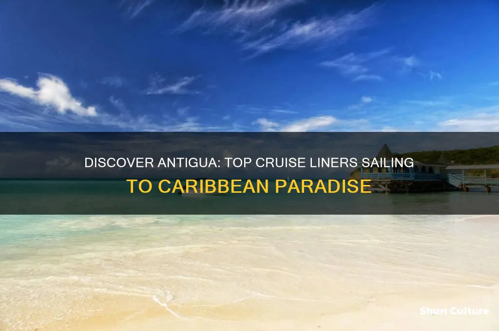 what cruise liner go to antigua