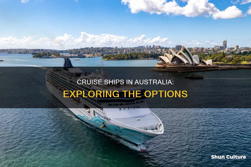 what cruise ships are in australia