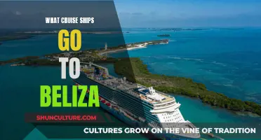 Cruise Ships Sailing to Belize: A Guide to Tropical Escapes