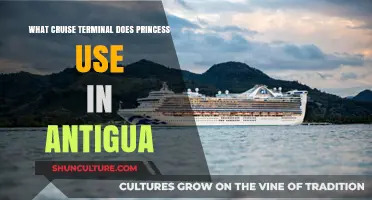 Princess Cruises Antigua Terminal Guide: Location and Facilities Explained