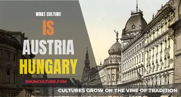 Austria-Hungary: A Rich Blend of Cultural Influences